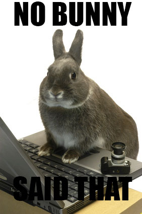 Illustration for article titled No Bunny Said That: A BUNNY BOMB POST